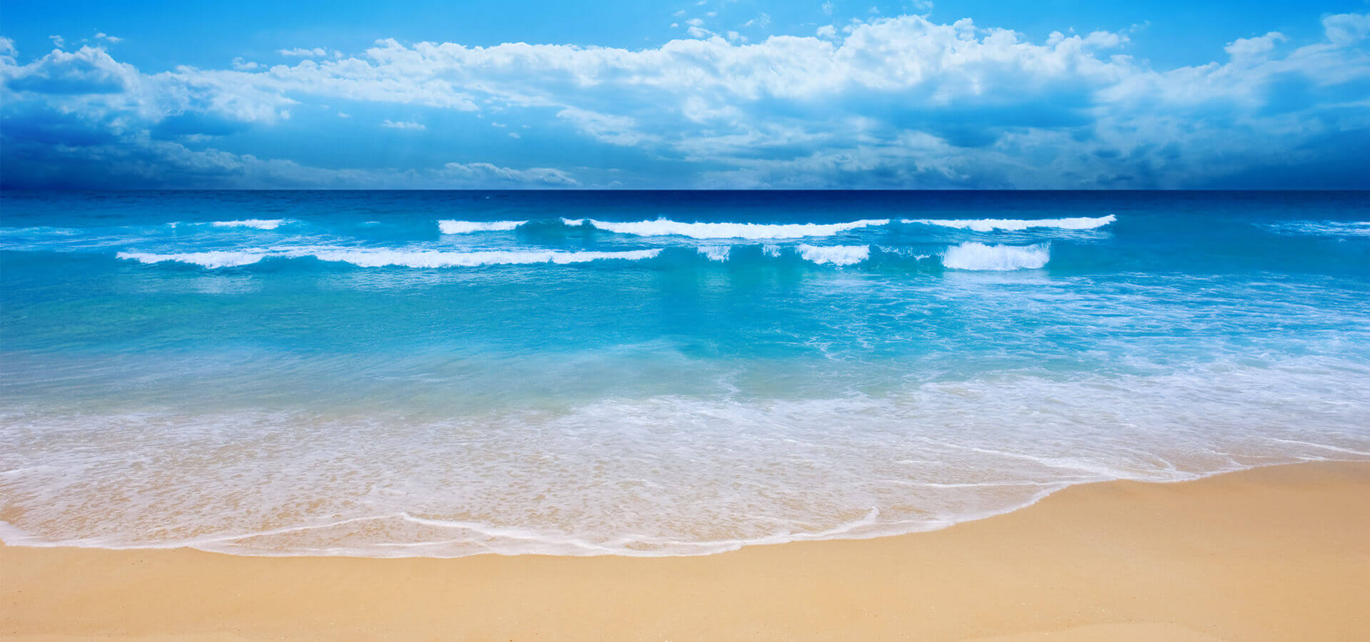 Explore! Discover! Live!